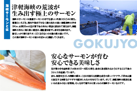 海峡サーモン水煮24缶セット
