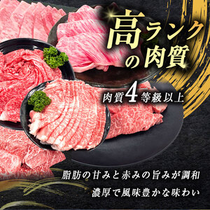 数量限定！選べる 極上牛肉 やまぐち和牛 燦 ( きらめき ) 上カルビ 400g