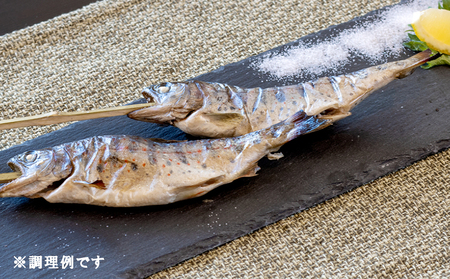 串やまめ(２本)　山女 ヤマメ 山女魚 川魚 串刺し