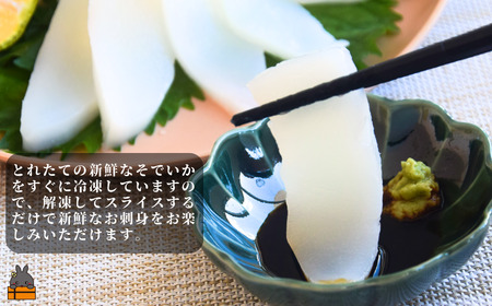 徳之島の漁師が荒波で釣り上げたそでいか 冷凍お刺身用小分け柵 1kg（約10人前） （ ソデイカ いか イカ 大型のいか 回遊 お刺身 甘い ねっとり 冷凍 新鮮 お寿司 料理 徳之島 奄美 沖縄 鹿児島 海鮮 umi-otoとくのしま ）