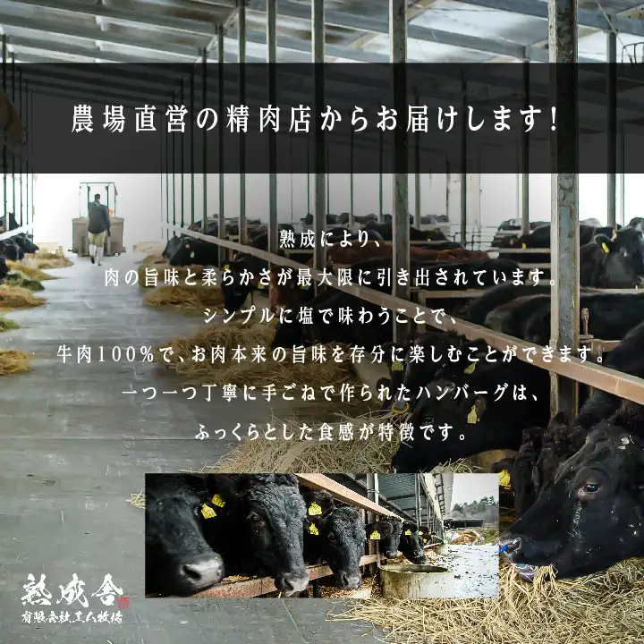熟成牛 手ごねハンバーグ 900g（150g×6袋）ハンバーグ 国産 牛肉