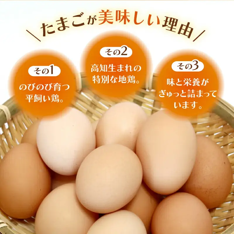 【卵 6回定期便】土佐ジローの卵 30個入 高知県 南国市