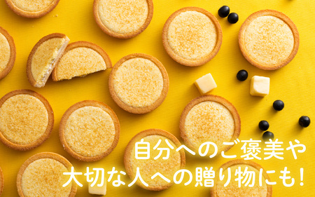つばめと風　丹波篠山黒大豆とチーズのタルト（8個）／ 丹波黒 黒豆 黒豆お菓子 黒豆スイーツ 名産 お土産 ギフト 手土産 スイーツ ご褒美 贈り物 加工品 ホームパーティー 濃厚チーズ チョコクリーム