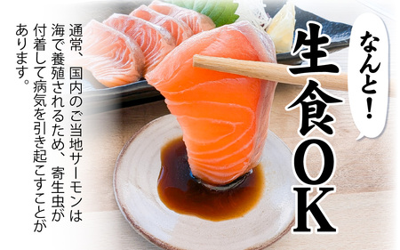 【訳あり】 国産 とっとり琴浦グランサーモン刺身用 400ｇ いくら付 小分け個包装で便利