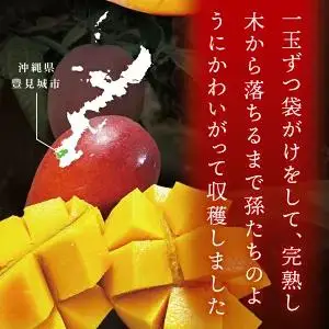 豊見城産マンゴー『殿内之宝(どぅんちのたから)・極』約1kg