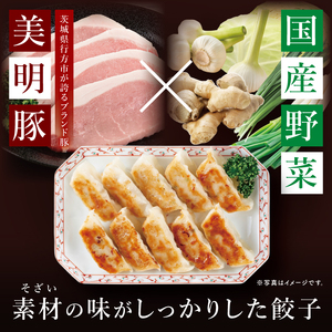 自慢の1品！木村屋の美明豚餃子 60個入り｜肉 お肉 豚肉 美明豚 ブランド豚 国産 餃子 ギョウザ 肉の木村屋 茨城県 行方市(J-20)