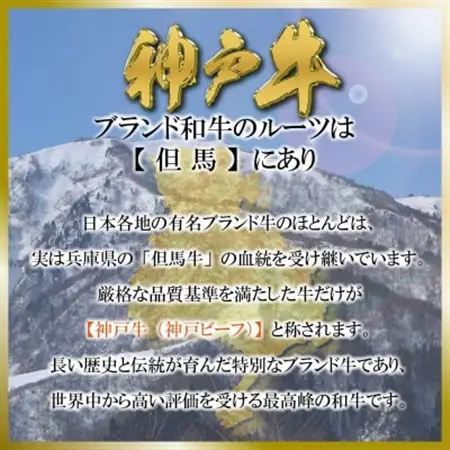 訳あり 神戸牛(神戸ビーフ)部位おまかせ 焼き肉用 400g SOY1【配送不可地域：離島】【1686964】
