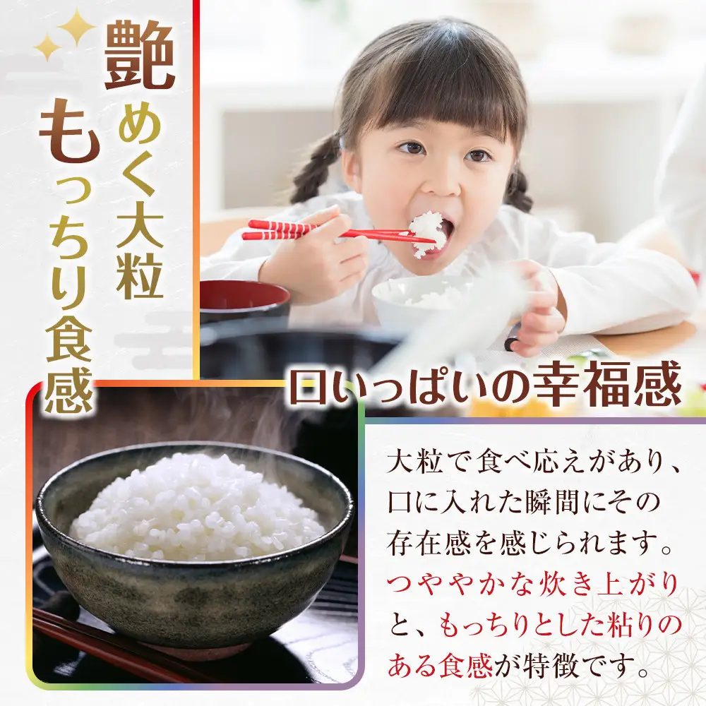 ［お米の定期便／全6回］和歌山県産 米 にじのきらめき計30kg (5kg×全6回) 2025年産［SL54］