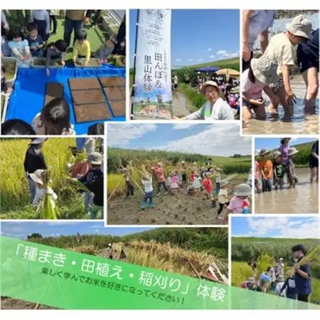 令和7年産 埼玉県産 彩のきずな 精米 (5kg×1袋)埼玉のお米【1687329】