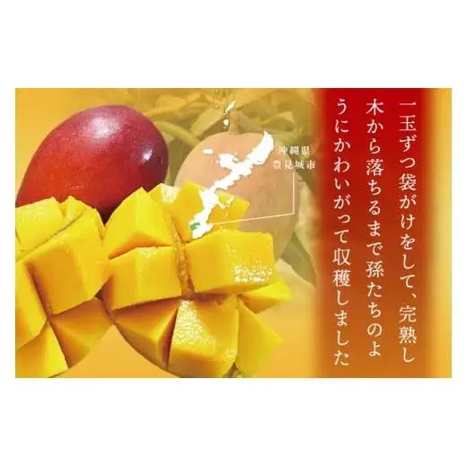 豊見城産マンゴー『殿内之宝(どぅんちのたから)』約1kg(ご家庭用) 