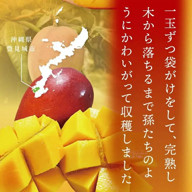 豊見城産マンゴー『殿内之宝(どぅんちのたから)』約1.5kg(ご家庭用) 