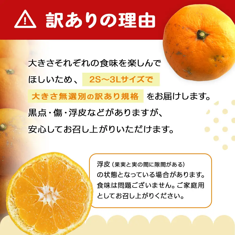 手が止まらない 訳あり 有田みかん 約5kg 大きさ無選別（2S〜3L） 糖度11度以上 鳴川農園 ［2026年11月以降発送予定］