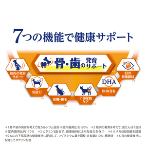 AllWell 健康に育つ子猫用 フィッシュ味 1.6kg×2袋 ペットフード