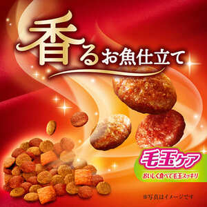 銀のスプーン 三ツ星グルメ お魚味クリーム 香るお魚仕立て 毛玉ケア セット ペットフード