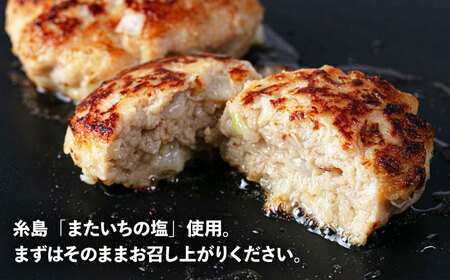 クローバーのとんバーグ 150g × 8個 糸島市 / 福岡マルシンフーズ / ハンバーグ 豚肉[ASQ001]