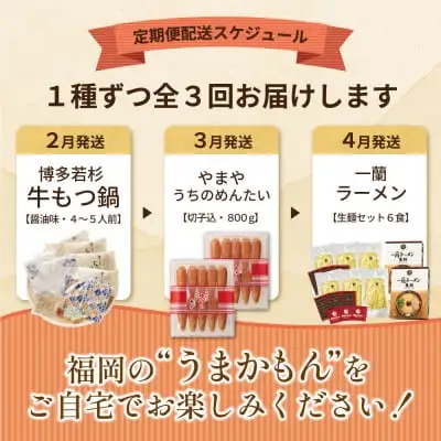 Y99-86 福岡グルメ定期便（明太子セット） 明太子