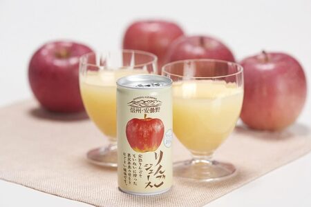 【定期便2回】果汁 100 ストレート 信州・安曇野りんごジュース 190g×30本 