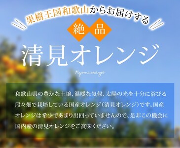 大玉清見オレンジ 【訳あり】  約7kg 【北海道・沖縄・離島配送不可】【2026年2月上旬～5月下旬頃に順次発送】【BV-mrmt077】