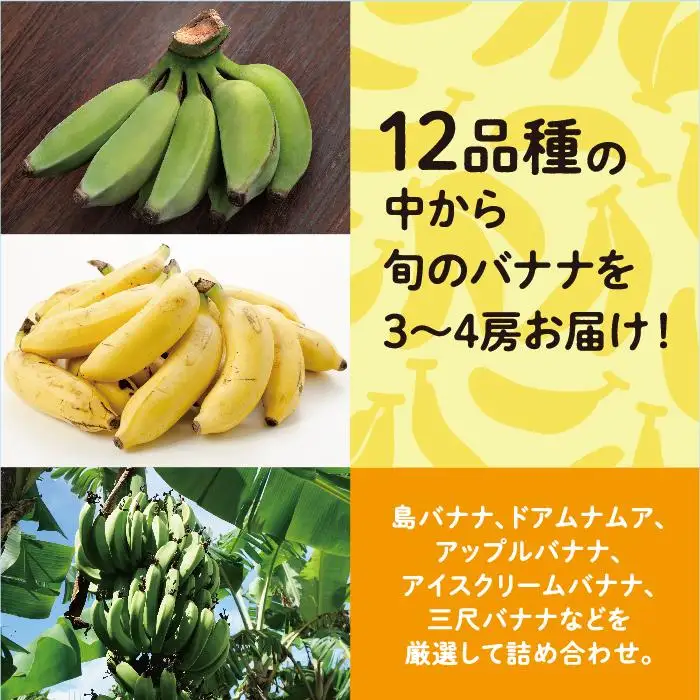 高原の駅なんじょうバナナ3～4房（12品種から旬のものを詰合せ）   