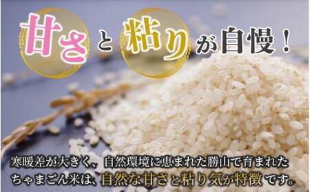 【令和7年産 新米】勝山産 コシヒカリ ちゃまごん米 精米 10kg [C-010018]