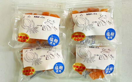 お魚屋さんの手作り 塩麹入りイカジャーキー (4袋) お魚屋さん 手作り イカジャーキー いか ジャーキー 塩こうじ 沖縄市 / 魚商ばってん[BCCE007]