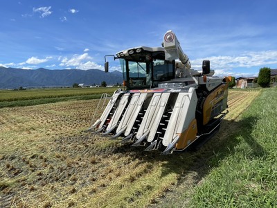 「黒田さん家のお米」長野県松本産こしひかり 無洗米 5kg×1袋