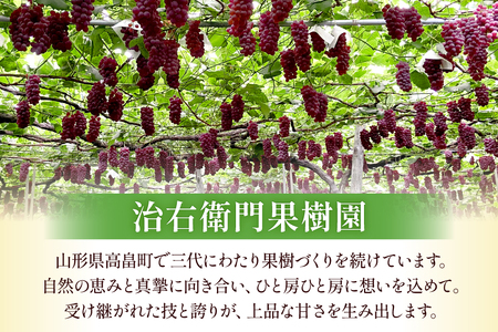 【期間限定発送】 デラウェア 秀品 5～8房 約 1kg [治右衛門果樹園 山形県 高畠町 tk06ays830010]