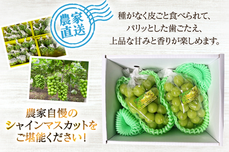 【期間限定発送】 シャインマスカット 2房 約1kg [治右衛門果樹園 山形県 高畠町 tk06ays830011]