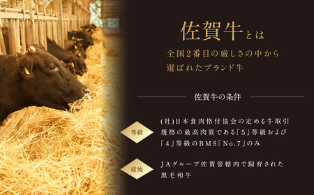 【最速配送】佐賀牛赤身スライス 800g ／ 佐賀牛【C100】