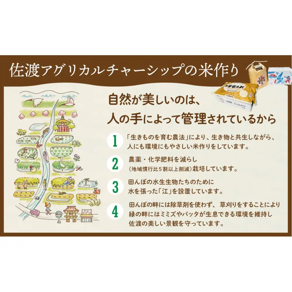 【令和７年産】佐渡島産 特別栽培米こしひかり「大野郷の米」精米5kg×３回 定期お届けコース