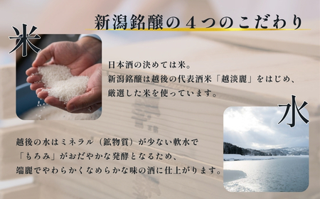 日本酒 デリシャス長さん 720ml×1本 カラフルでPOPなラベルデザイン 新潟銘醸【0002-0415-01】