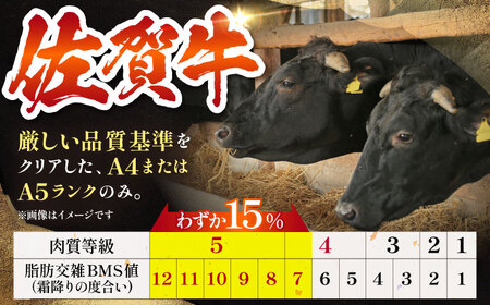佐賀牛 A5 おっきい ハンバーグ （300g×2個）【肉の三栄】 A5 A5ランク 黒毛和牛 ハンバーグ[HAA157]