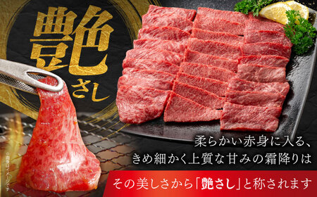 佐賀牛 焼肉セット A モモ バラ ウデ　約600g 【JAさが 杵島支所】[HAM091]
