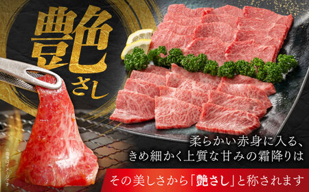 佐賀牛 焼肉セット B モモ バラ 約500g 【JAさが 杵島支所】[HAM092]