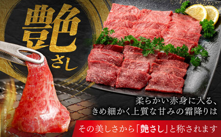 佐賀牛 焼肉セット C モモ ウデ 約500g 【JAさが 杵島支所】[HAM093]