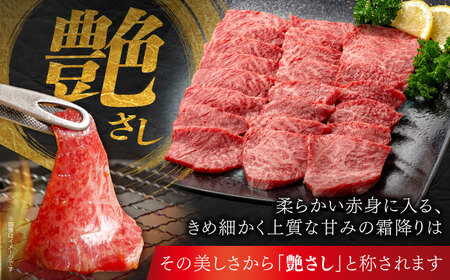 佐賀牛 切り落とし 600g （100g×6パック） 【JAさが 杵島支所】 こま切れ 小間切れ[HAM097]