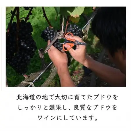 MARO Wines 微発泡ワイン 白とロゼ 2本セット【配送不可地域：離島】【1628415】