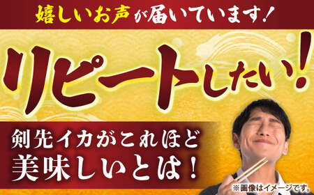 【お中元】剣先イカ 刺身用 500g [JCC024] イカ刺し