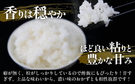 北海道 豊浦 令和7年度産 精米 ゆめぴりか 5kg 