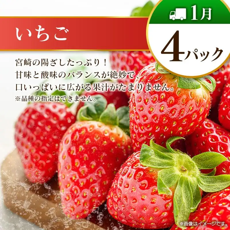 【奇数月 6回定期便】旬 人気 フルーツ 南国宮崎産 太陽のタマゴ ピオーネ いちご みかん メロン マンゴー 柑橘 ぶどう 果物 詰め合わせ 宮崎県 九州＜A-1コース M110＞