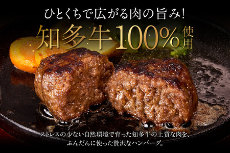 知多牛100％手作りハンバーグ　120g×10個入り 国産牛 牛肉 ハンバーグ 惣菜 肉汁たっぷり ブランド牛 グルメ 冷凍 簡単調理 煮込みハンバーグ デミグラスハンバーグ お取り寄せ 子供 人気 愛知県 常滑市