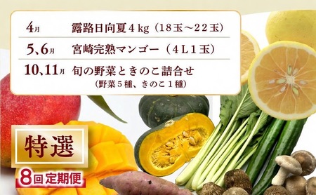 【全8回お届け】特選！！宮崎県綾町産 果物・野菜定期便 [Y20]_0113-003