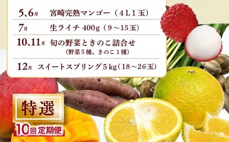 【全10回お届け】特選！！宮崎県綾町産 果物・野菜定期便 [Y21]_0113-004