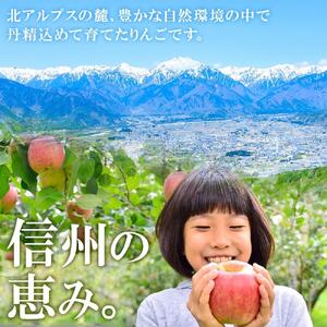 ＜26年９月中旬頃～発送 先行予約＞長野県産 りんご シナノドルチェ 訳あり 約3kg リンゴ 旬 フルーツ 訳アリ 林檎 果物 規格外 自家用 産地直送 農園 産直 お取り寄せ もぎたて 採れたて 送料無料 堀田農園 信州 大町市