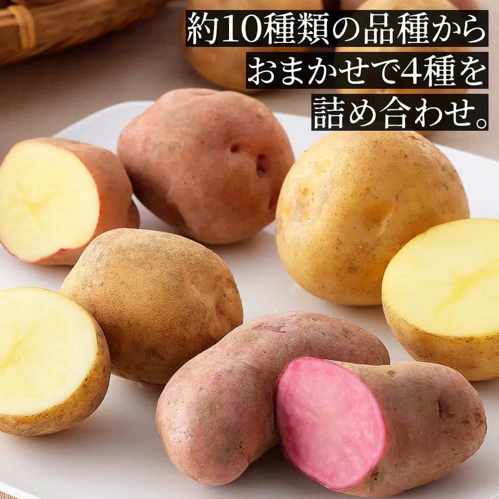 2026年産 先行予約 北海道産 おまかせ じゃがいも 4種セット 計10kg（2.5kg×4種） 北海道 上士幌町 加藤農場 野菜 ジャガイモ 馬鈴薯 産地直送 ◆2026年12月配送予定