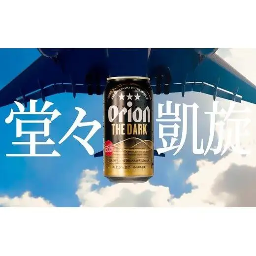 オリオンビール ザ・ダーク 350ml × 48缶