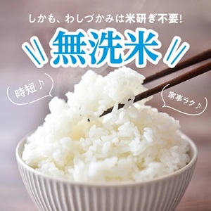 SA2807　【無洗米】わしづかみ　5kg×1袋　山形県産100% 複数原料米 AG