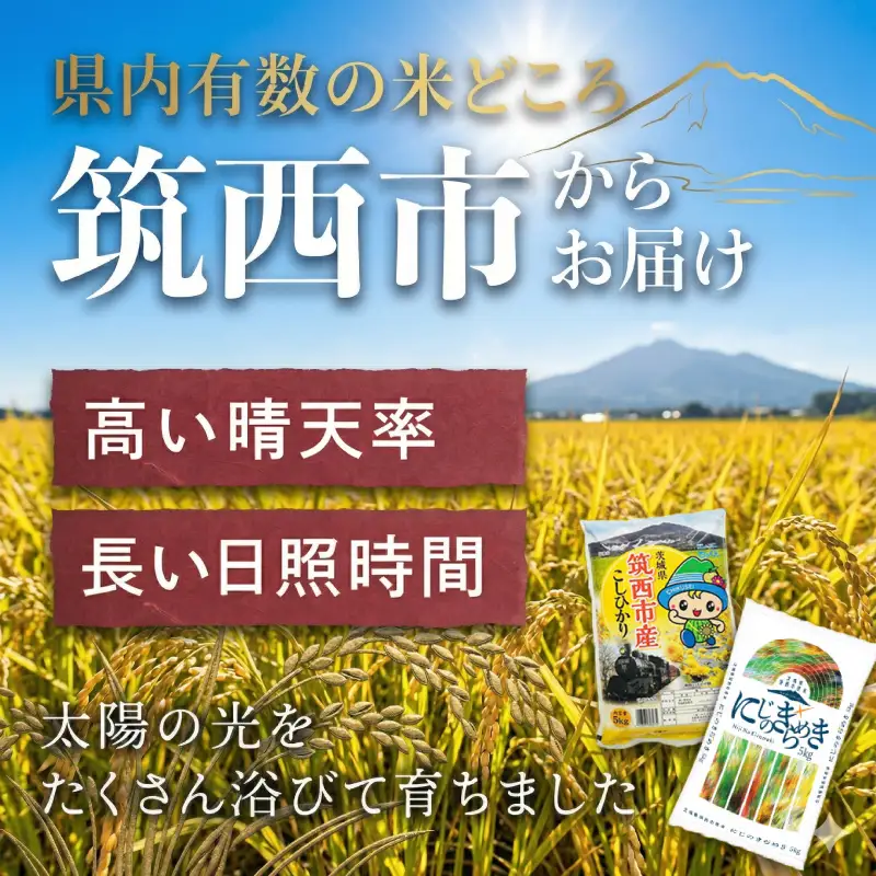 スピード発送!! （最短2日~7日程度で発送） 茨城県 筑西市産 にじのきらめき 5kg ( 障がい者アート パッケージ )