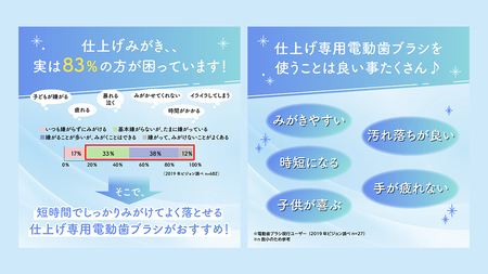 【 ピジョン 】 はじめての 仕上げ専用 電動歯ブラシ グリーン （６か月～）