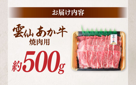 【希少】雲仙 あか牛 焼肉用 500g / 国産 長崎和牛 牛 牛肉 冷凍 / 南島原市 / 株式会社高田牧場[SGQ007]
